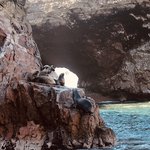 Photo taken by Denisse G