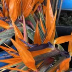 Photo taken by Pam B