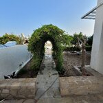 Photo taken by SHOSHANA S