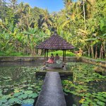 Photo taken by Amy M