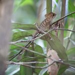 Photo taken by Garritt V