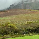 Photo taken by Tom B