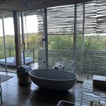 Photo taken by Jeanine B