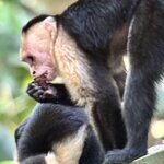 Photo taken by Ben B