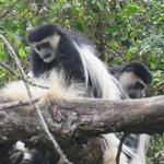 Photo taken by Kristin M