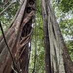 Photo taken by Edit M