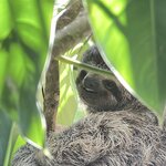 Photo taken by Martin L