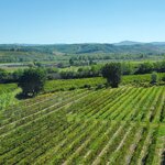 Photo taken by BARSHA C