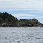 Photo taken by Iris W