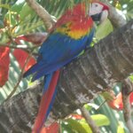 Photo taken by Brett F