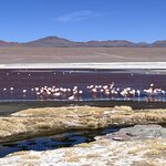 Photo taken by Shirley S