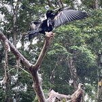 Photo taken by Kozue N