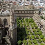 Photo taken by Jason C