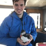 Puffin tour  | Photo taken by Jana P