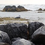 Photo taken by Michael V