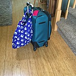 All packed! | Photo taken by Sue L