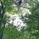 Photo taken by Christine H