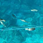 Photo taken by Judith D