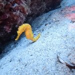 Photo taken by Aya I