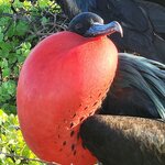 Photo taken by Lee B