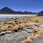 Photo taken by Shirley S