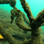 Photo taken by Barry T