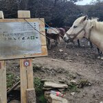 Photo taken by Vitaliy V