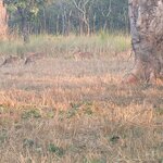 Photo taken by Cayden S