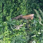 Photo taken by Holly B