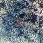 Photo taken by Dixie W