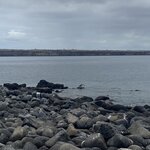 Photo taken by Jessica S