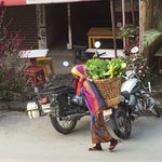 Photo taken by Susan H