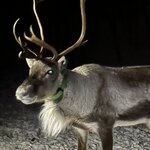 Photo taken by Tracy K