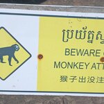 Photo taken by Karen S