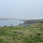 Photo taken by Laura F