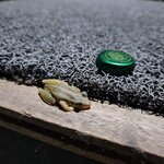 Photo taken by Lisa T