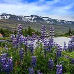 Photo taken by Michael H