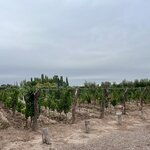 Photo taken by Katherine H