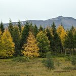 Photo taken by Debbie B