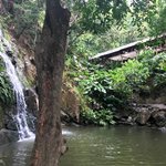 Photo taken by Sophie E