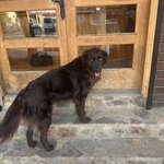 Photo taken by Rob G