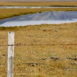 Photo taken by Tim Z