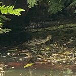 Photo taken by Kim L