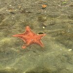 Photo taken by Joanne C