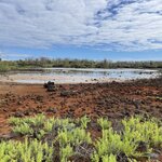 Photo taken by Sofia W