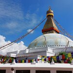 Photo taken by Pania S