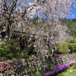 Photo taken by Marianne O