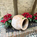 Photo taken by Linda S