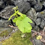 Photo taken by Catherine H