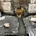 Photo taken by Ken R